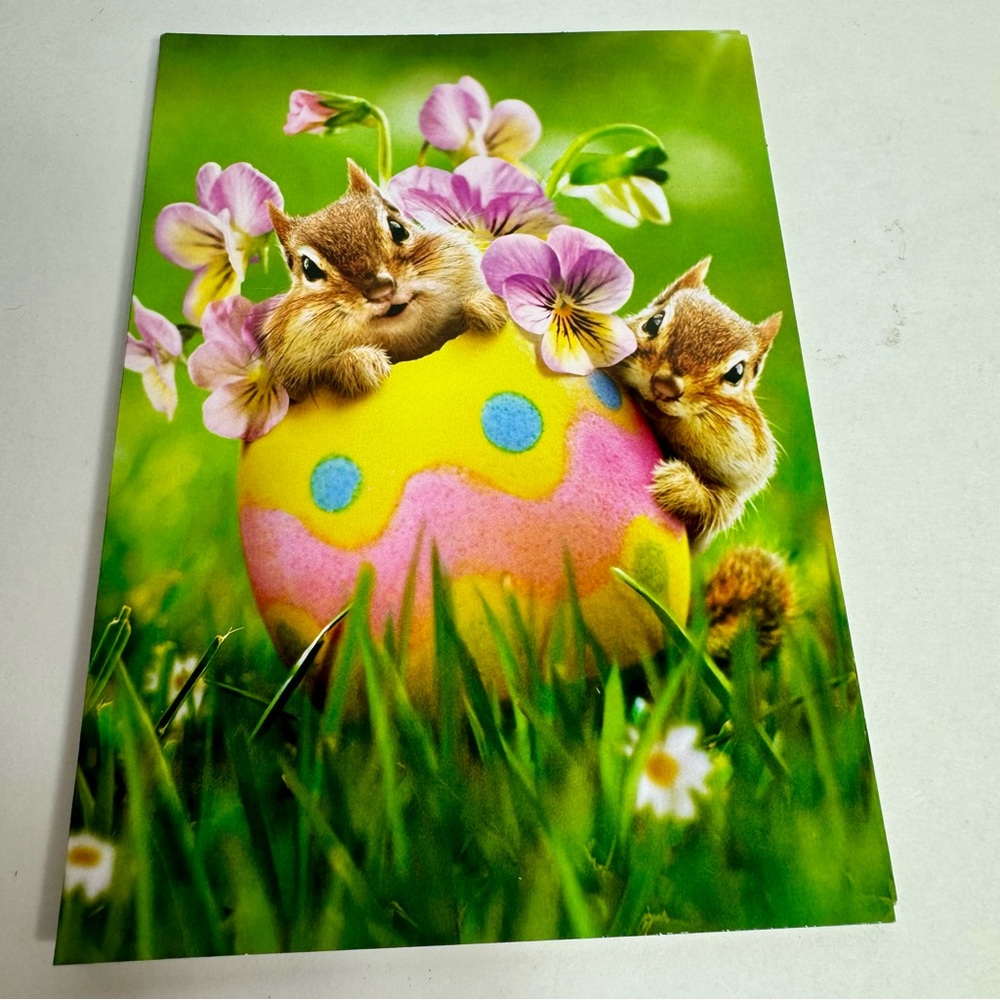 4 Avanti Greeting cards - chipmunks in Easter egg
Holiday: Easter